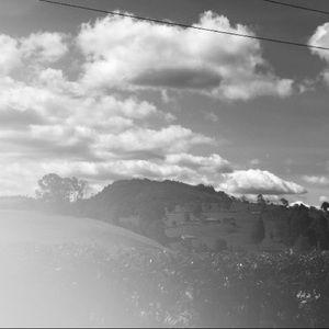 Meet your Posher, Clara